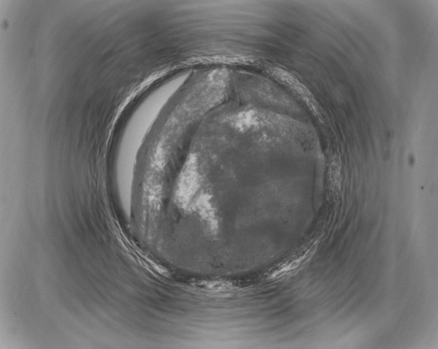 X0000085770395200704131809