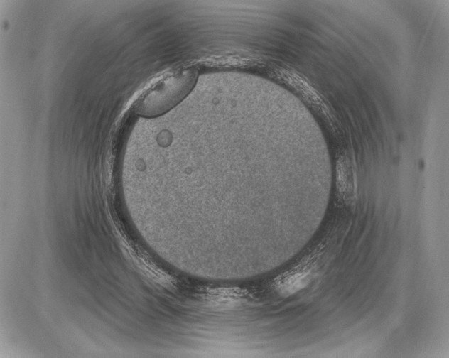 X0000085770396200704131809