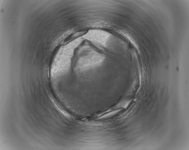 X0000085770397200704131809