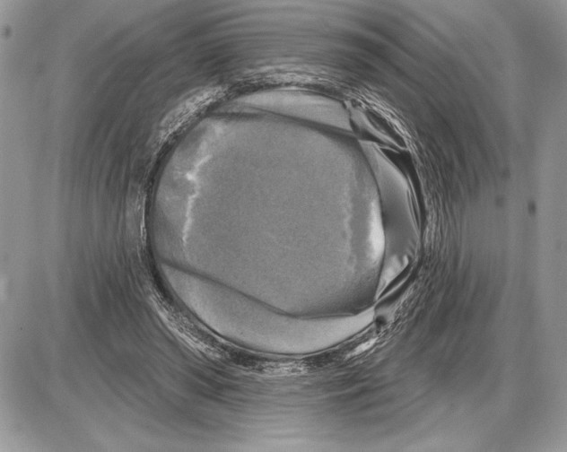 X0000085770398200704131809