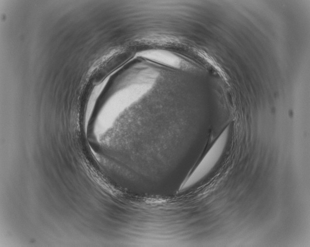 X0000085770399200704131809