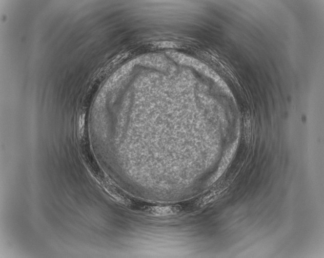 X0000085770406200704131808