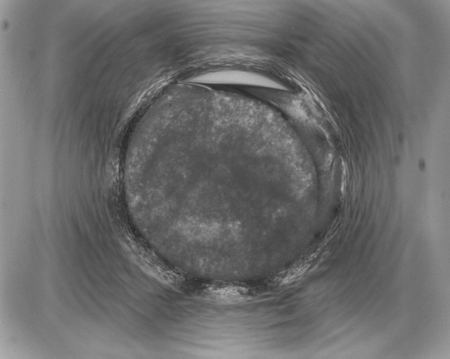 X0000085770407200704131808