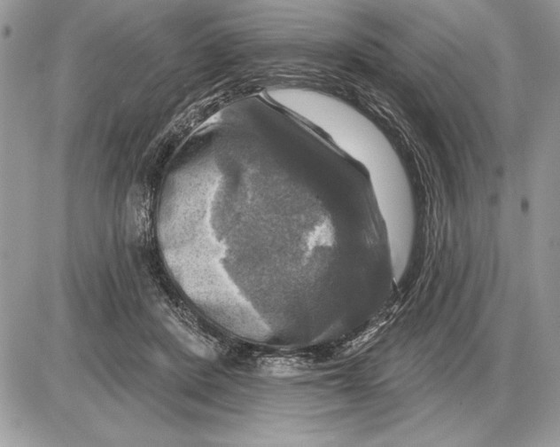 X0000085770408200704131808