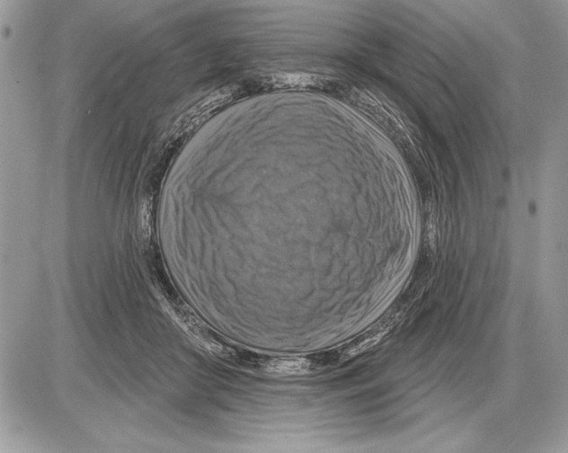 X0000085770410200704131808