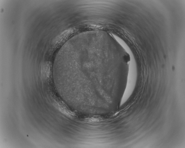 X0000085770412200704131808