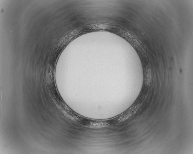 X0000085770414200704131808