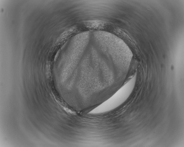 X0000085770416200704131808