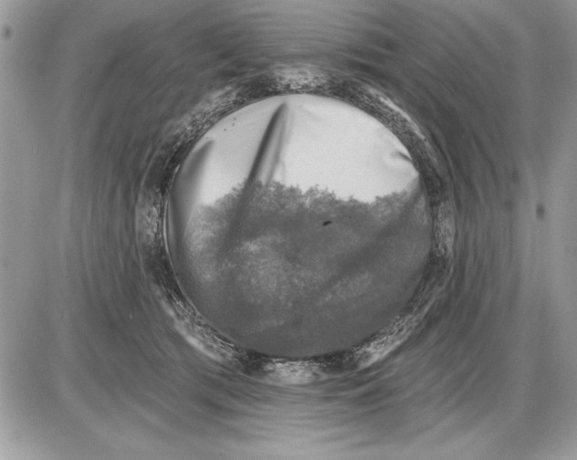 X0000085770417200704131808