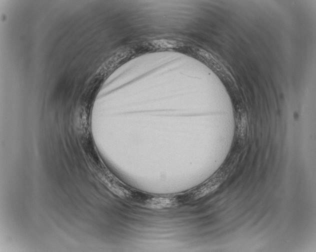 X0000085770418200704131808