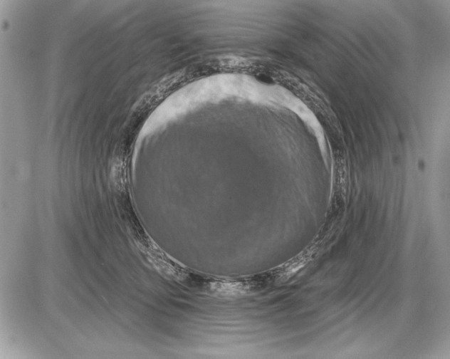 X0000085770419200704131808