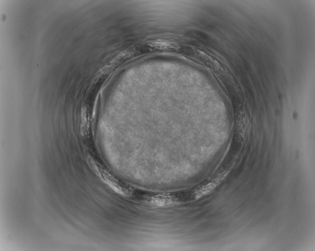 X0000085770420200704131808