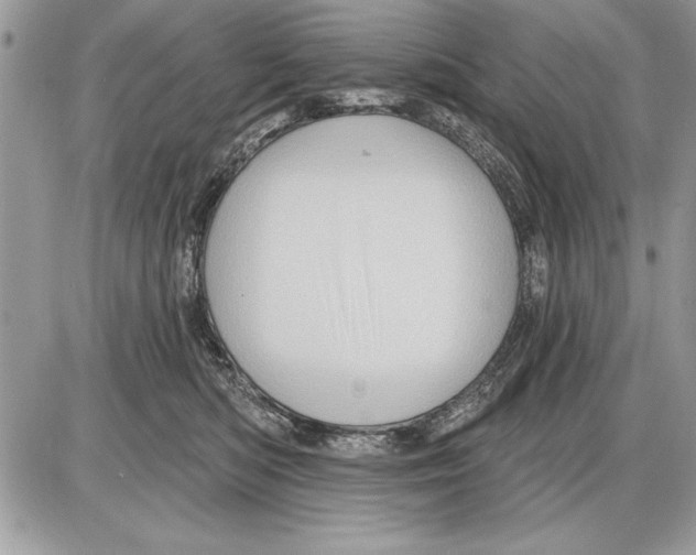 X0000085770422200704131808