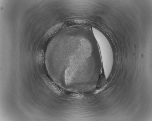 X0000085770424200704131808