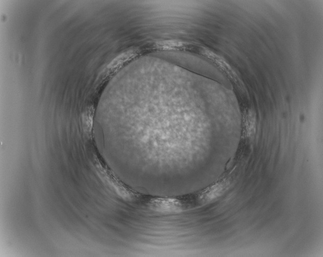 X0000085770427200704131808