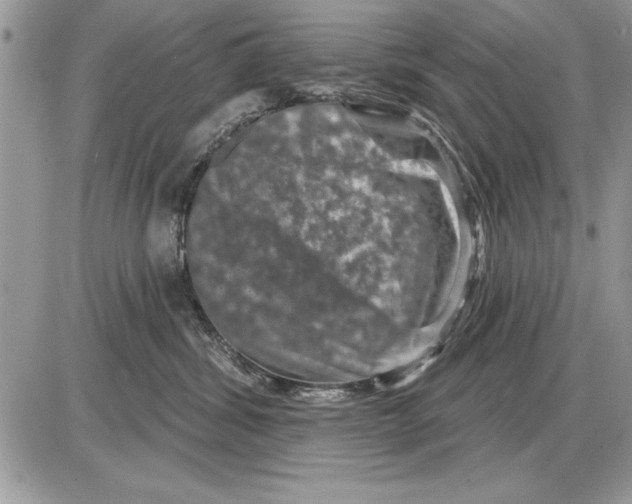 X0000085770428200704131808