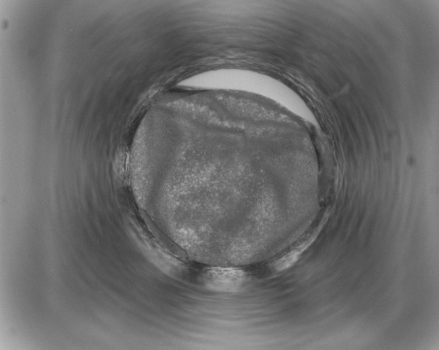 X0000085770429200704131808