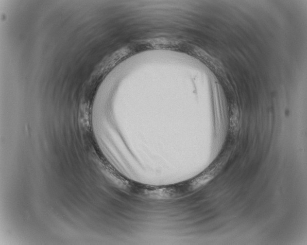 X0000085770430200704131808