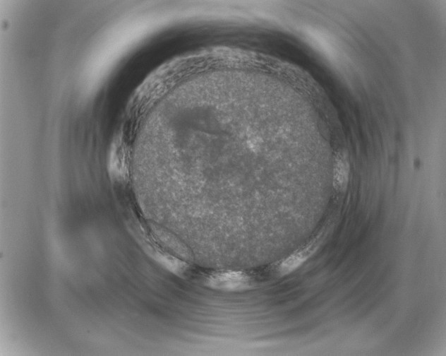 X0000085770431200704131808