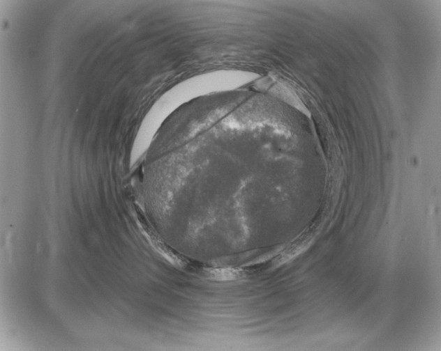 X0000085770432200704131808