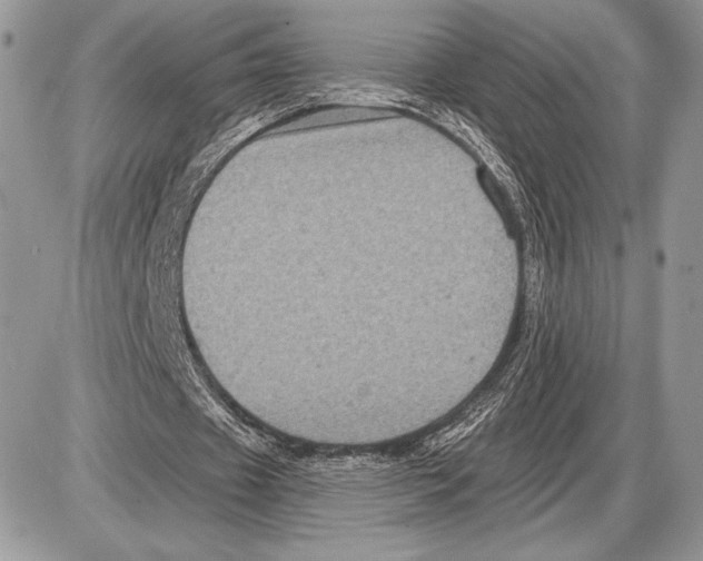 X0000085770433200704131807