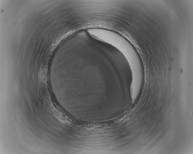 X0000085770434200704131807