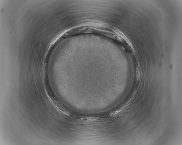 X0000085770436200704131807