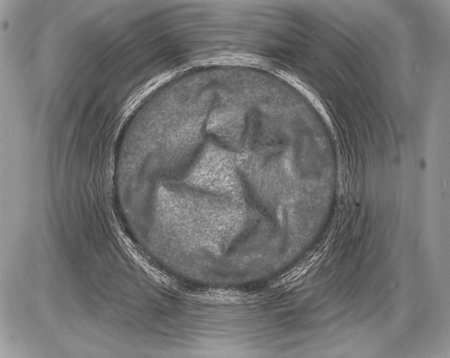 X0000085770437200704131807