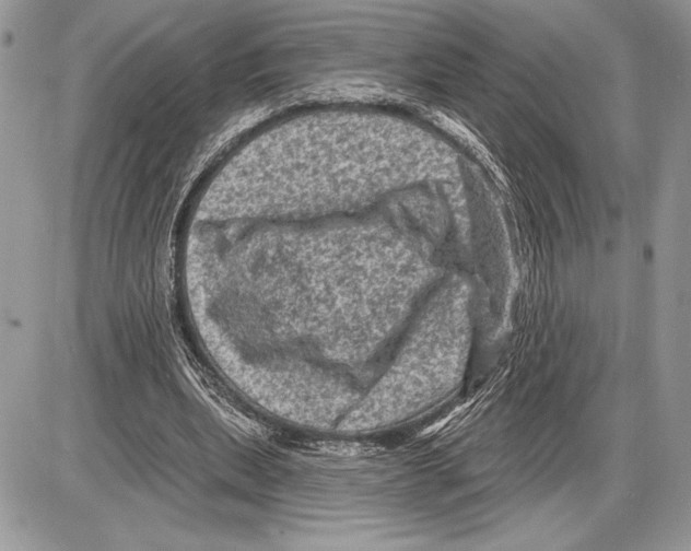 X0000085770439200704131807