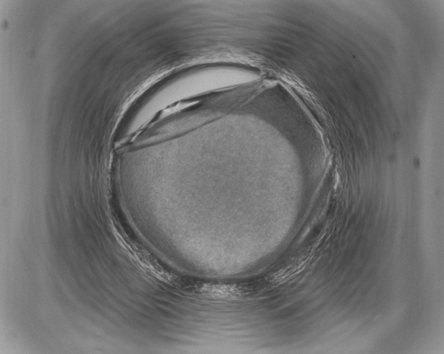 X0000085770440200704131807