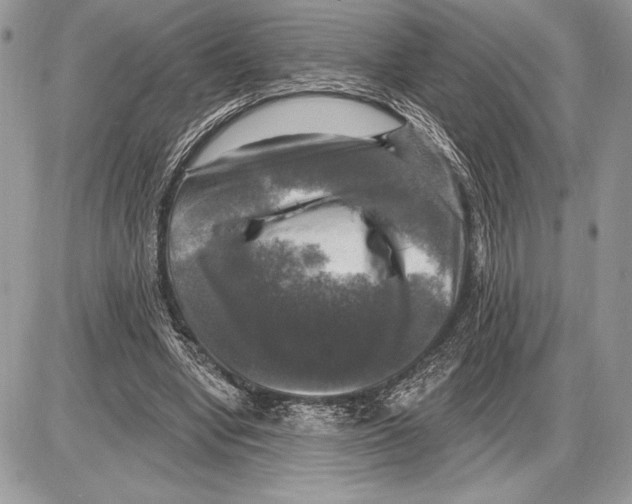 X0000085770442200704131807