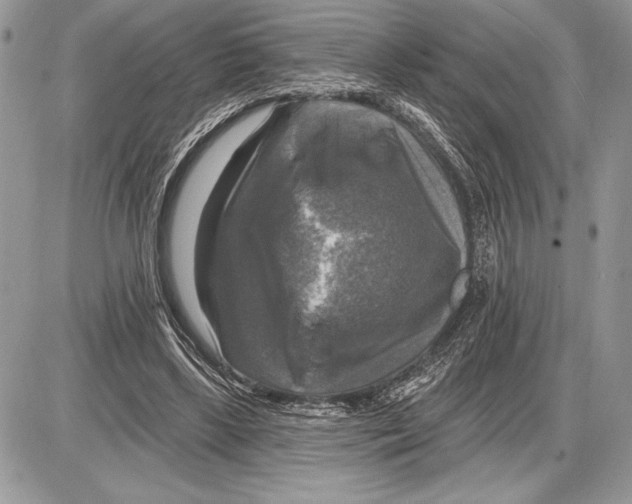 X0000085770443200704131807