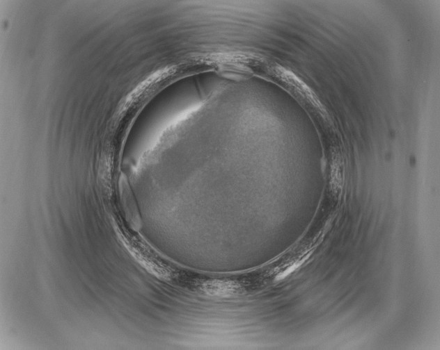 X0000085770444200704131807