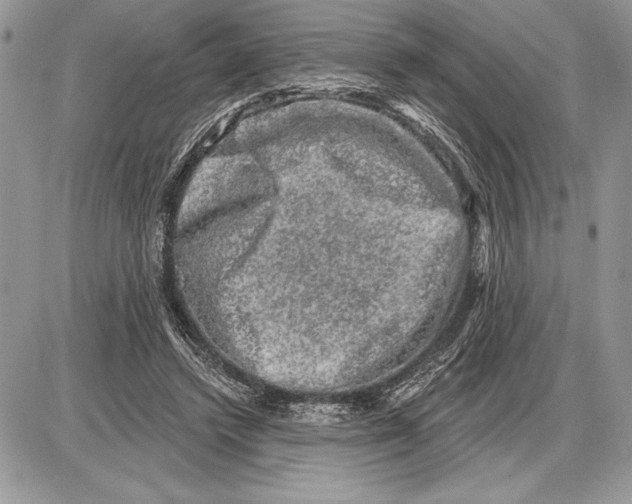 X0000085770448200704131807