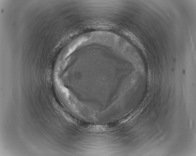 X0000085770449200704131807