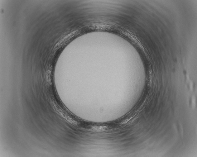 X0000085770450200704131807