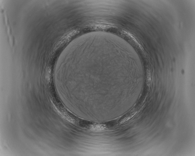 X0000085770451200704131807