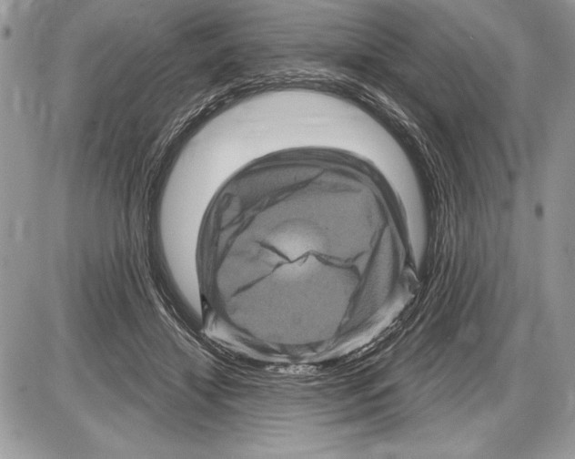 X0000085770452200704131808