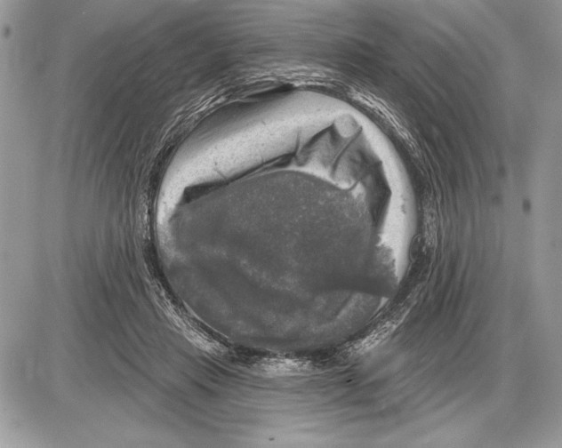 X0000085770453200704131808