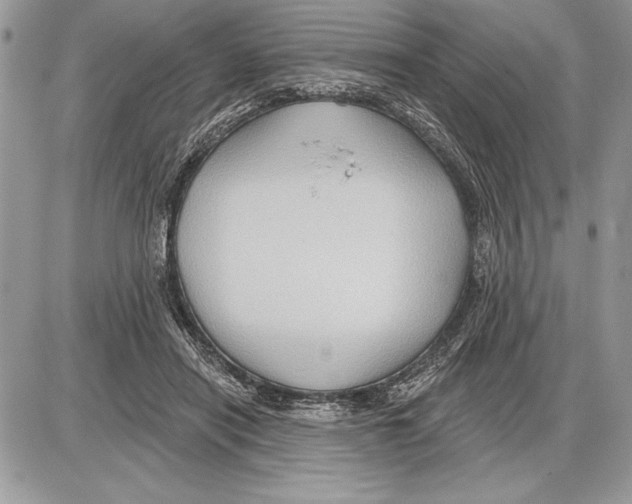 X0000085770454200704131808