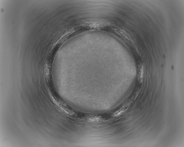 X0000085770456200704131808