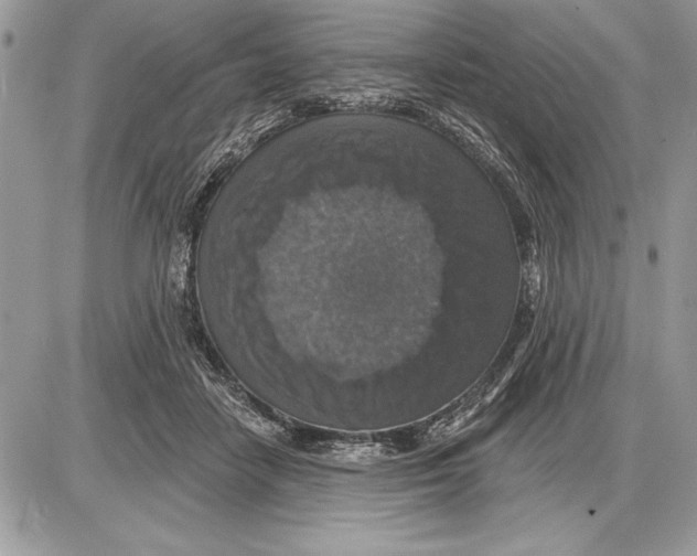 X0000085770458200704131808