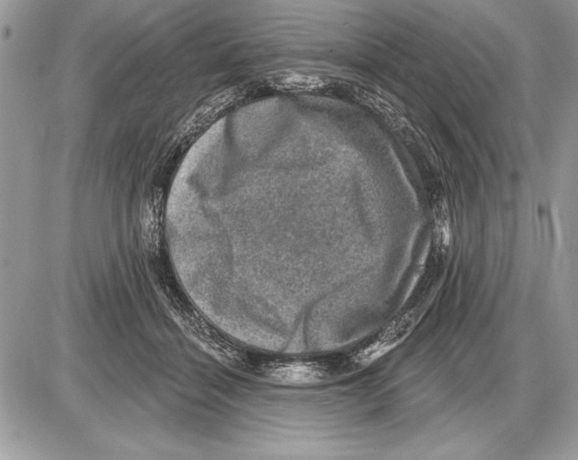 X0000085770460200704131808