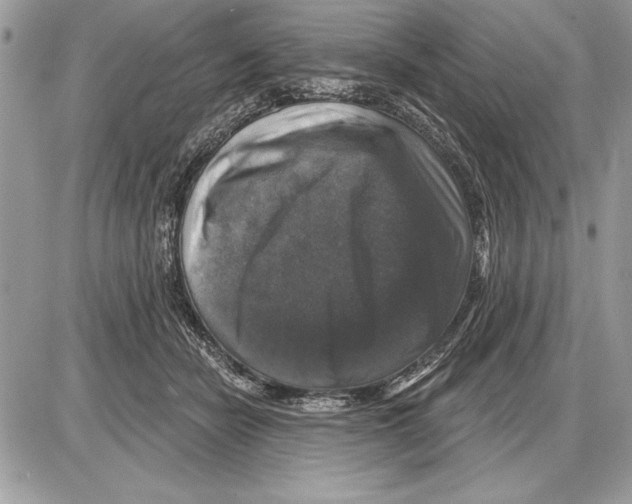 X0000085770462200704131808