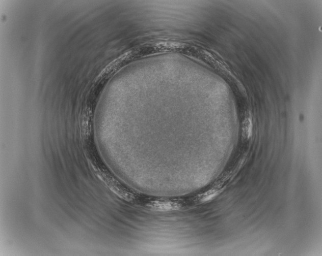 X0000085770464200704131808