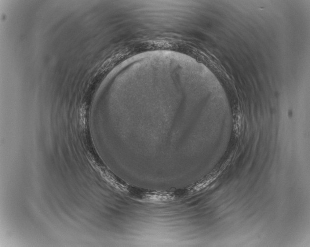 X0000085770466200704131808