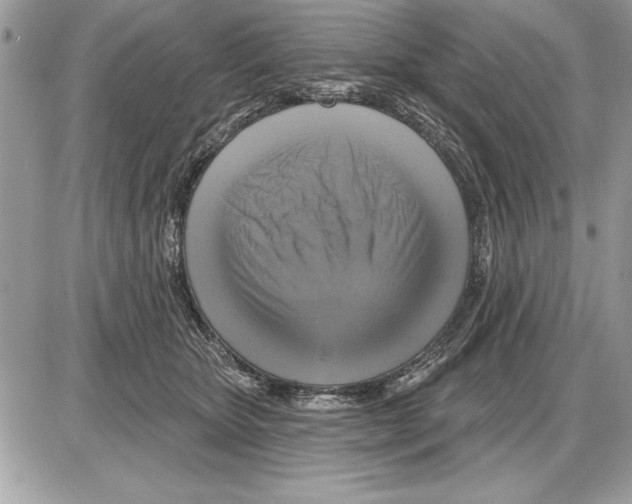 X0000085770467200704131808