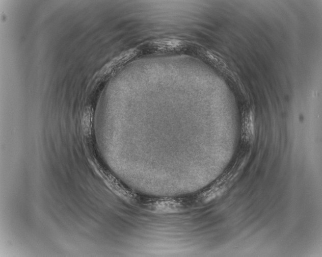 X0000085770468200704131808