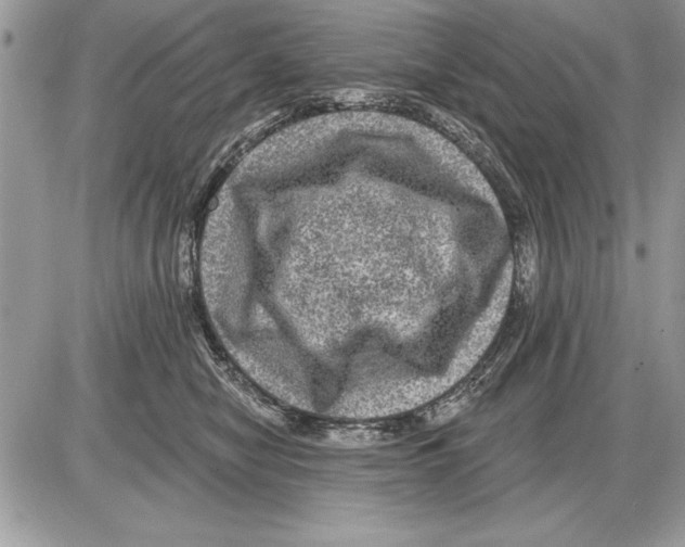 X0000085770470200704131808