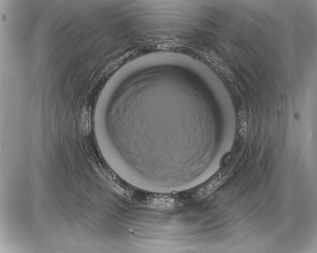 X0000085770471200704131808